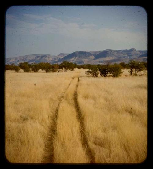 Truck tracks through grass, with mountains in the distance