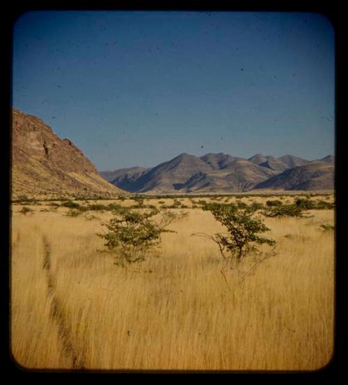 Truck tracks through grass, with mountains in the distance