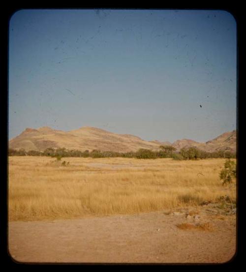 Landscape with grass, trees and hills in the distance