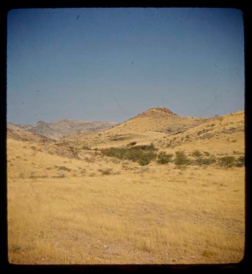 Landscape with grass, trees and hills in the distance