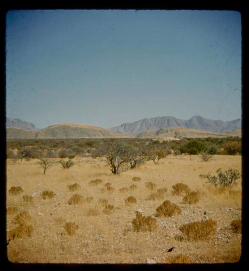 Landscape with grass and brush, hills and mountains in the distance