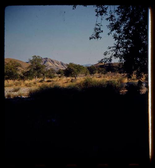 Landscape with trees, hills and mountains in the distance