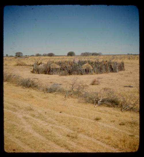 Kraal, distant view