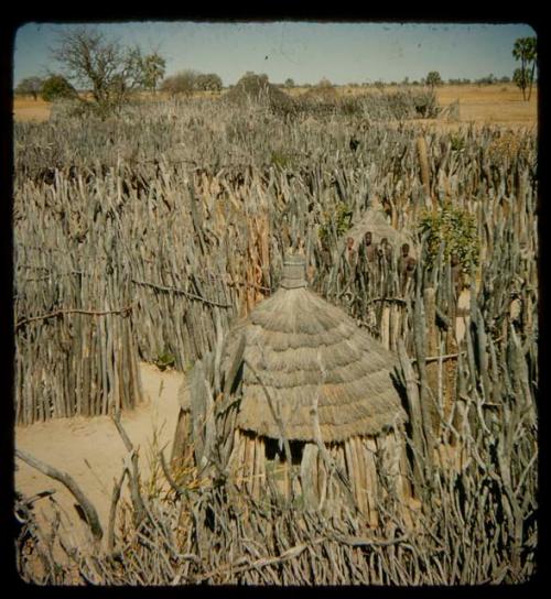 Kraal, close-up