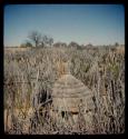 Kraal, close-up