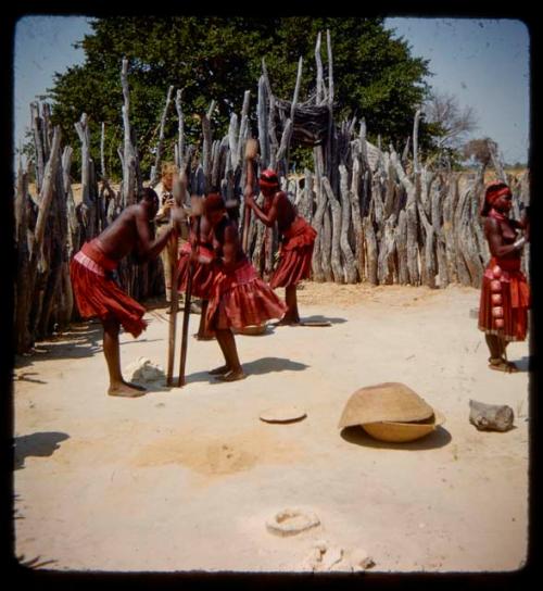 Four of Nehemiah's wives pounding something in holes in the ground with long poles