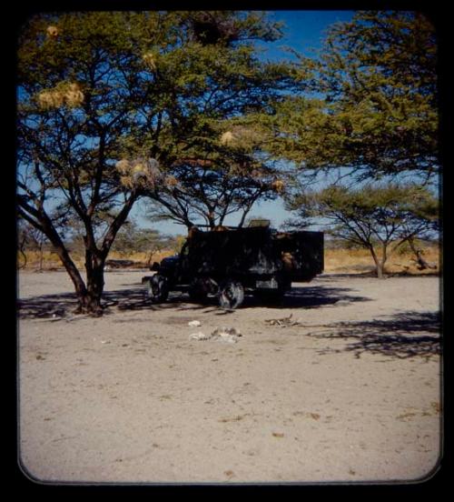 Expedition truck parked under trees