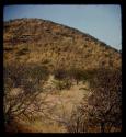 Hill covered with grass and brush