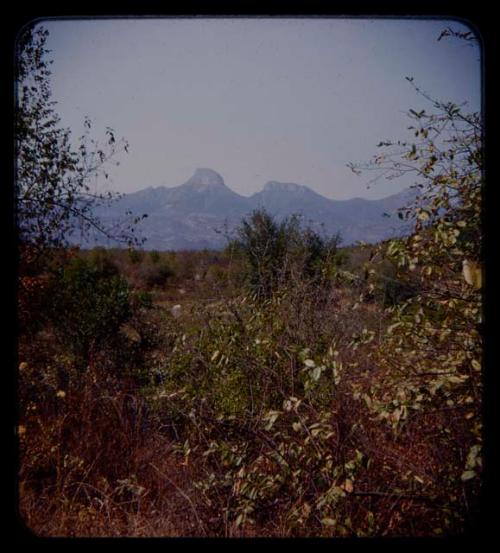 Landscape with brush, mountains in the distance