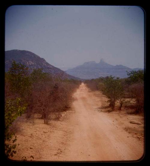 Road through brush, with mountains in the distance