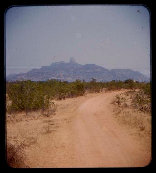 Road through brush, with mountains in the distance