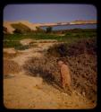 Expedition member walking, with the Kunene River in the distance