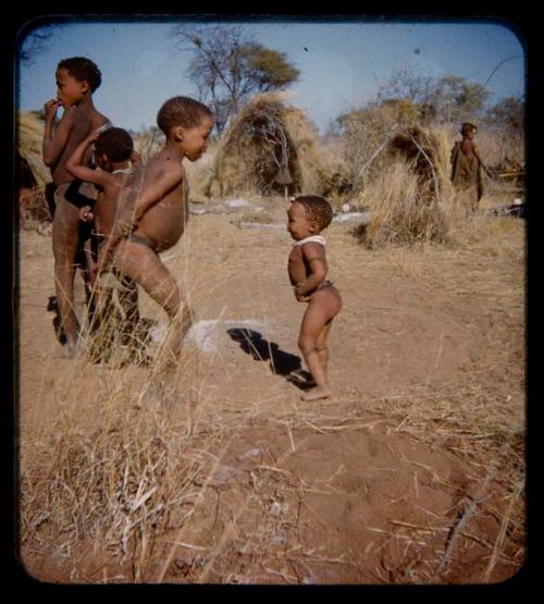 /Gishay, N!aishi, Tsamgao and "Little ≠Gao" dancing