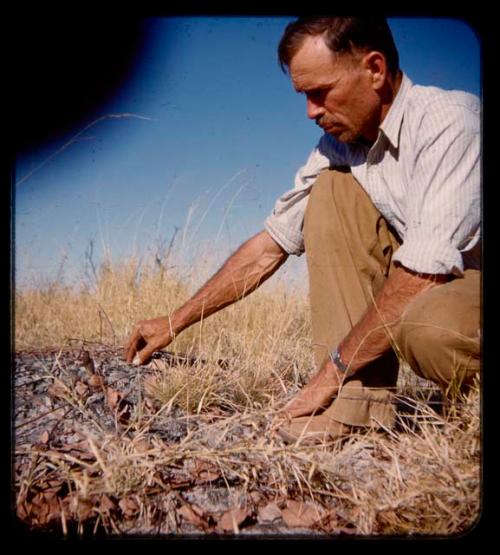 Fritz Metzger pointing to nuts that grow in the ground