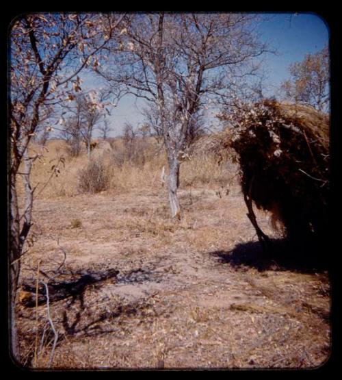 Abandoned skerm, close-up