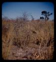 Mark at a waterhole between Gam and Gautscha