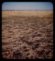 Burned area in grass, between Gam and Gautscha