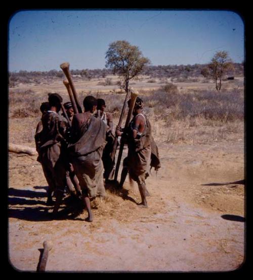 Group of women beating mahangu, also known as pearl millet