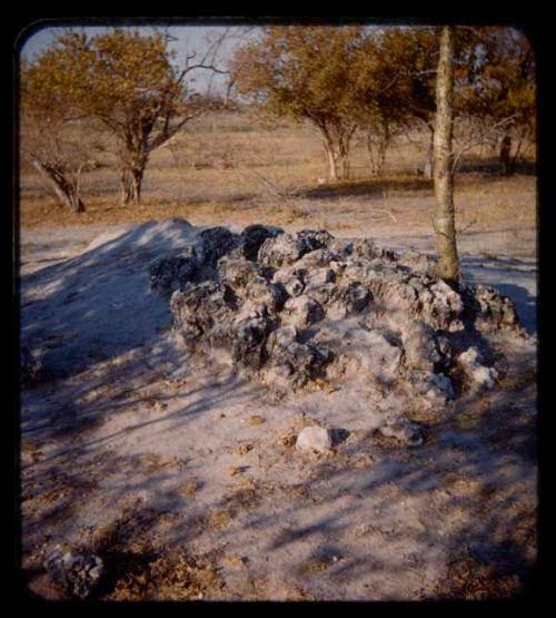 Grave on Mr. Prinsloo's farm