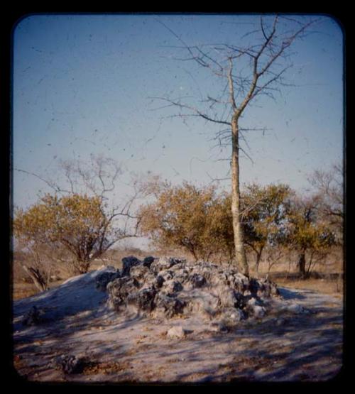 Grave on Mr. Prinsloo's farm