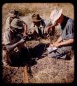 Christoph digging and Robert Dyson holding untjies (roots) on a paper, with Picanin Arv and Katugua sitting behind them