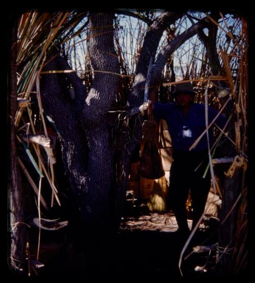 Eric Williams standing next to a tree in the expedition camp