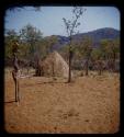 Hut in Meri Catinga's kraal, with two sticks on each side of the door