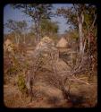 Three huts in Meri Catinga's kraal