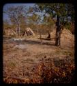 Hitching post and huts in Meri Catinga's kraal