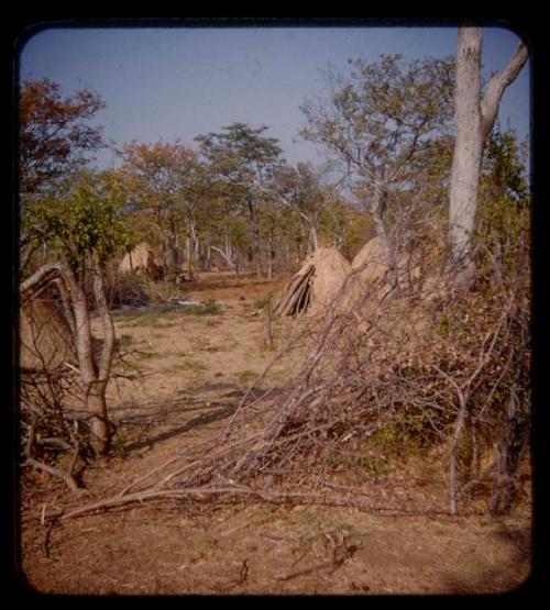 Huts in Meri Catinga's kraal