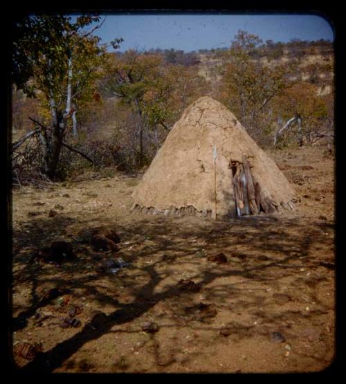 Dogs sleeping next to Kanakele's hut in Meri Catinga's kraal