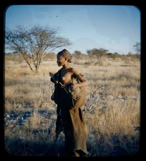 Carrying: Woman carrying grass in her kaross