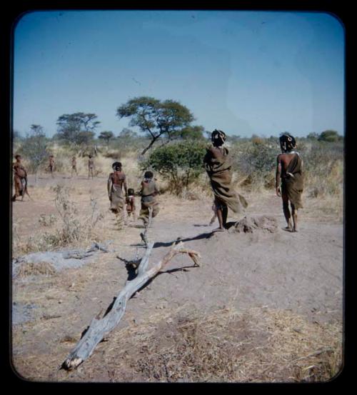 Groups, play: Group of children playing on an anthill