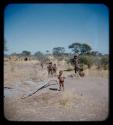 Groups, play: Group of children playing on an anthill