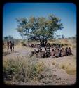 Dance: Group of women gathered to watch a curing dance, with men standing on one side