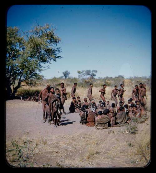 Dance: Group of men performing a curing dance, with a circle of women sitting; dancers are going in both directions and one elderly woman is dancing with them