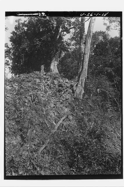 Central mound E-II observatory showing road