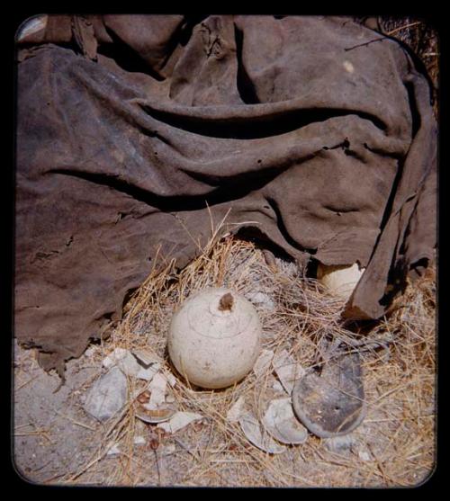 Possessions: Decorated ostrich eggshell with a stopper