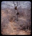 Possessions: Person's possessions hanging in a tree