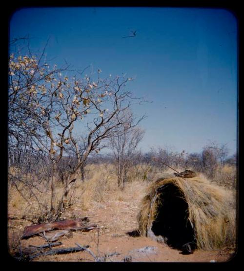 Skerm: Side view of a skerm, with a rolled animal hide on the ground nearby