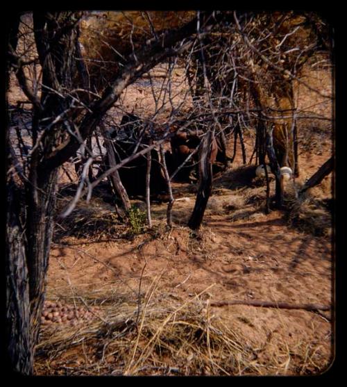 Skerm: Two people sitting under an open skerm; view restricted by trees