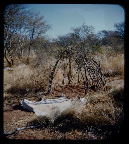 Skerm: Skerm, with a white animal hide laying in the foreground