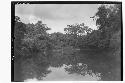 Belize River