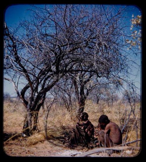 Skerm: Man, a woman, a child sitting under trees, with ashes and branches on the ground