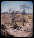 Skerm: Boy lying under a small tree with possessions hanging from them