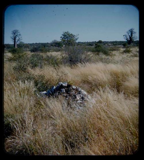 Stones: Pile of stones in grass