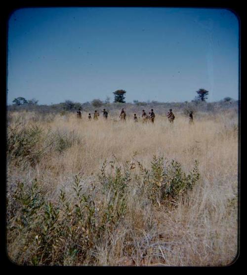 Walking: Group of people in single file walking through grass