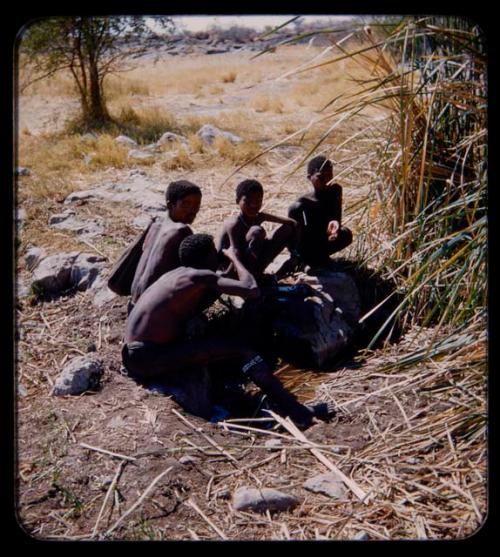 Waterhole: Man drinking water by a waterhole, with another man and two boys squatting nearby