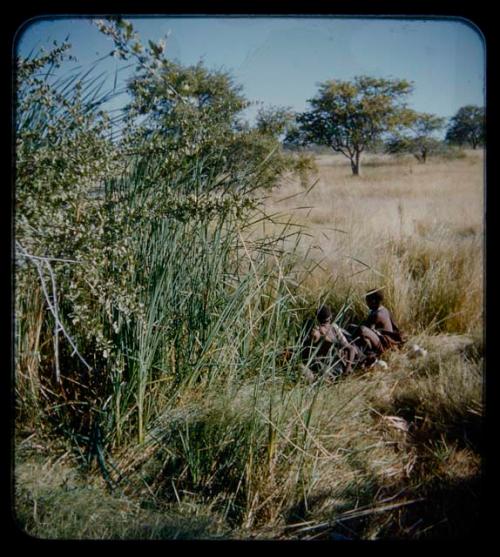 Waterhole: Women sitting at a waterhole, with ostrich eggs nearby