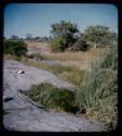 Waterhole: View of a waterhole